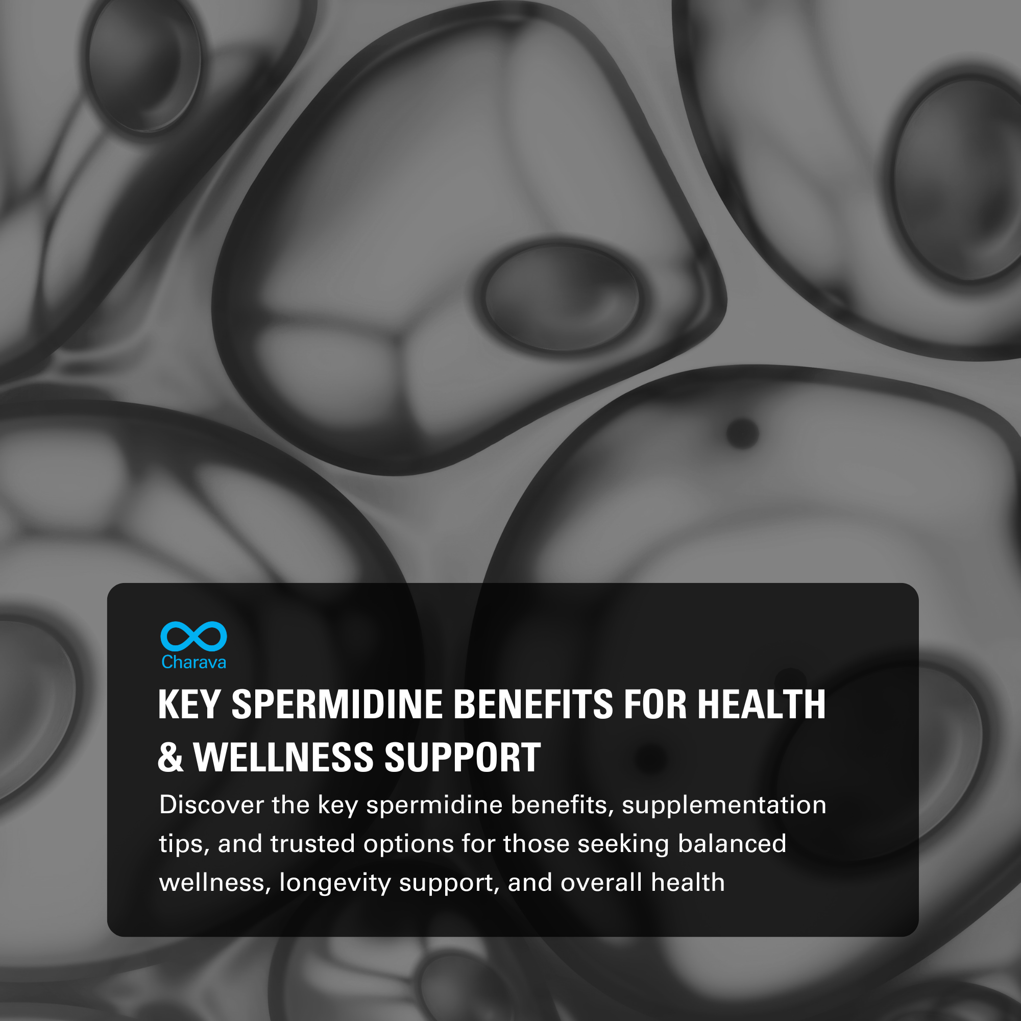 Spermidine Benefits: Key Insights for Health and Wellness Support - Charava Europe